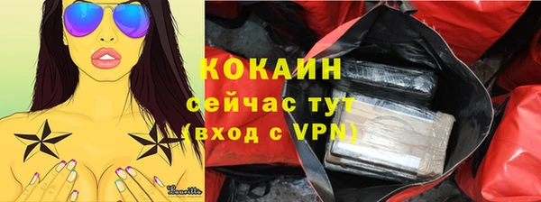 хмурый Арсеньев