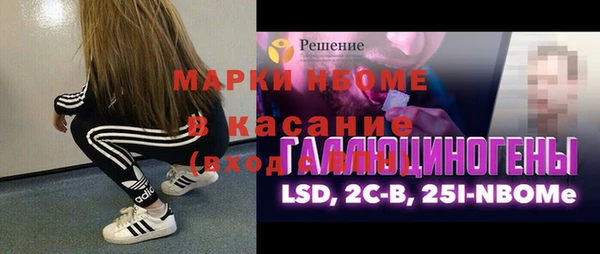 хмурый Арсеньев