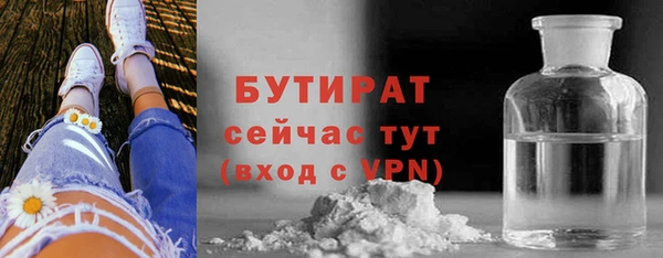 хмурый Арсеньев
