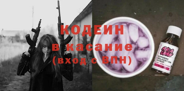 хмурый Арсеньев