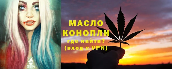 хмурый Арсеньев