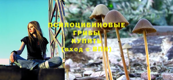 mdpv Аркадак