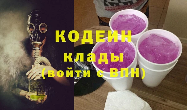 хмурый Арсеньев